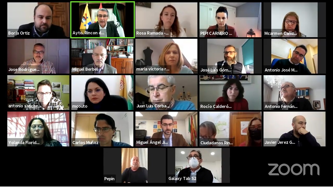 Sesión plenaria en Rincón de la Victoria celebrada de forma telemática / DA