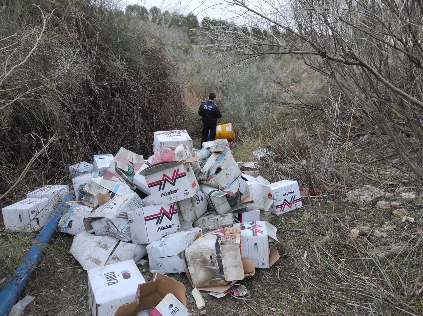 Productos tóxicos vertidos al cauce del río Guadalmedina / Policia Local de Casabermeja